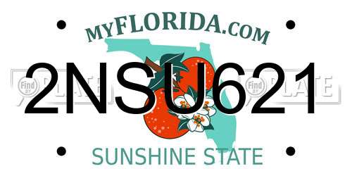 2NSU621 Florida License Plate
