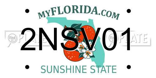 2NSV01 Florida License Plate