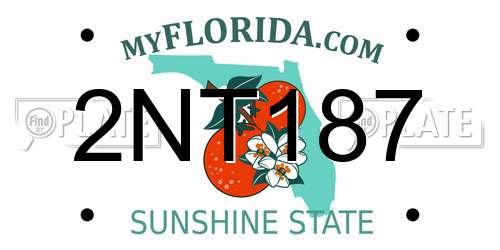 2NT187 Florida License Plate