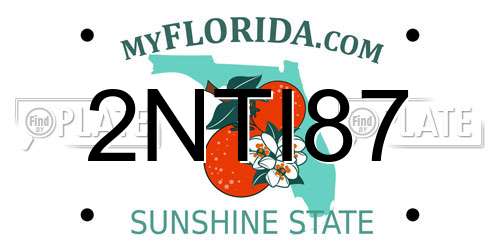 2NTI87 Florida License Plate