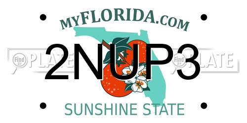2NUP3 Florida License Plate