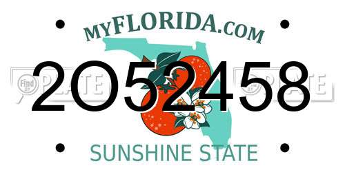 2O52458 Florida License Plate