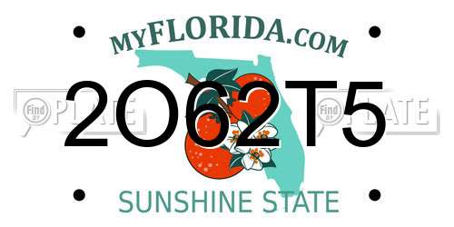 2O62T5 Florida License Plate