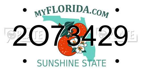 2O73429 Florida License Plate
