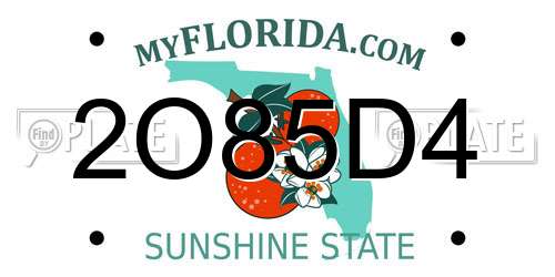 2O85D4 Florida License Plate