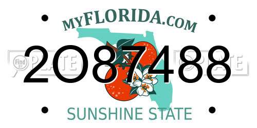 2O87488 Florida License Plate