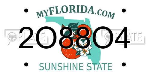 2O88O4 Florida License Plate