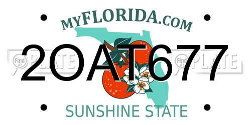 2OAT677 Florida License Plate