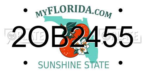 2OB2455 Florida License Plate