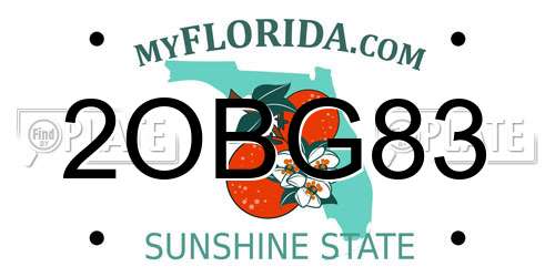 2OBG83 Florida License Plate