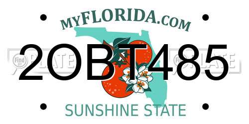 2OBT485 Florida License Plate