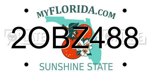 2OBZ488 Florida License Plate