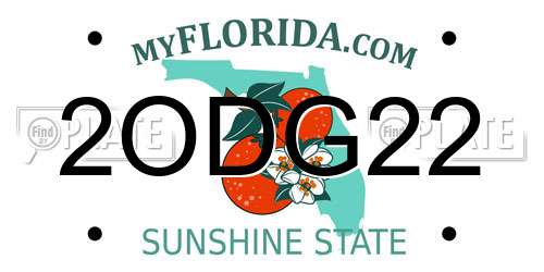 2ODG22 Florida License Plate