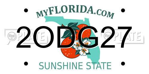 2ODG27 Florida License Plate