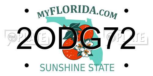 2ODG72 Florida License Plate