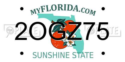 2OGZ75 Florida License Plate