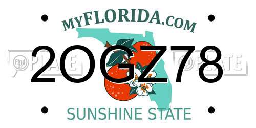 2OGZ78 Florida License Plate