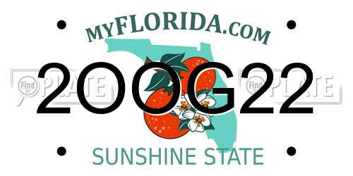 2OOG22 Florida License Plate