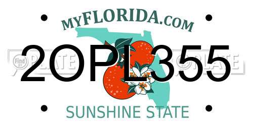 2OPL355 Florida License Plate