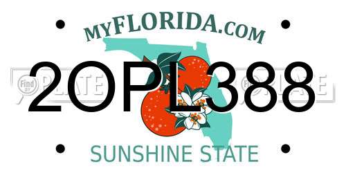 2OPL388 Florida License Plate