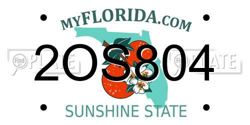 2OS804 Florida License Plate