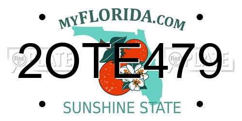 2OTE479 Florida License Plate