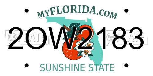 2OW2183 Florida License Plate