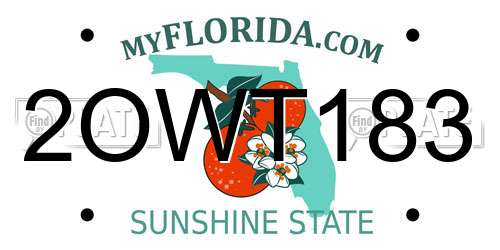 2OWT183 Florida License Plate