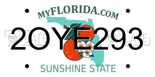2OYE293 Florida License Plate