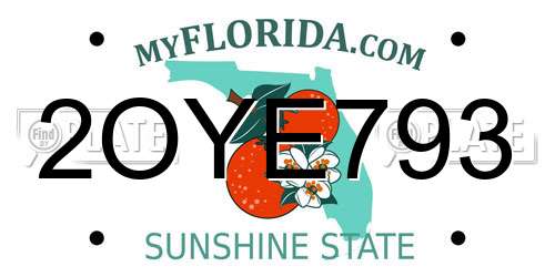 2OYE793 Florida License Plate