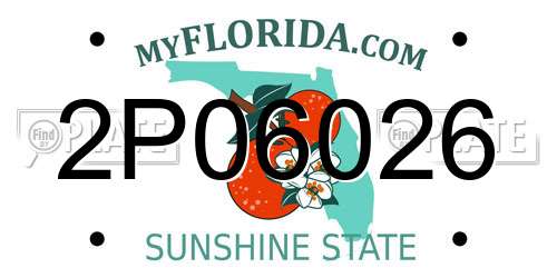 2P06026 Florida License Plate