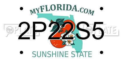 2P22S5 Florida License Plate