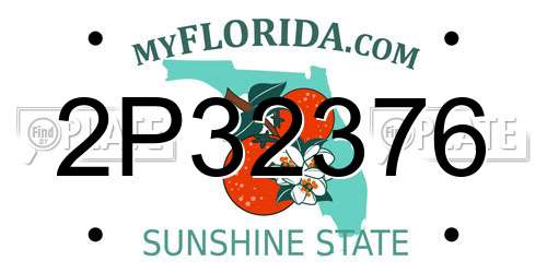 2P32376 Florida License Plate