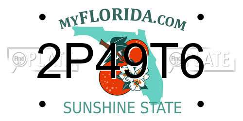 2P49T6 Florida License Plate
