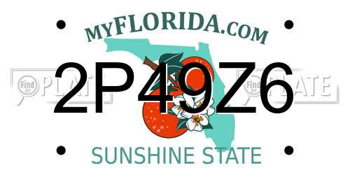 2P49Z6 Florida License Plate