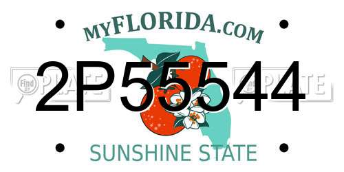 2P55544 Florida License Plate