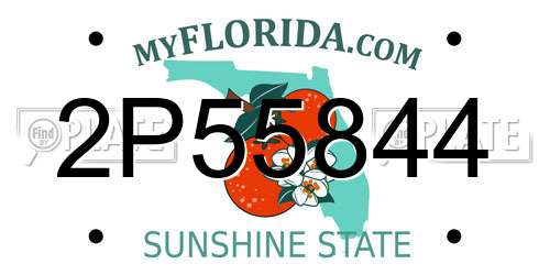 2P55844 Florida License Plate