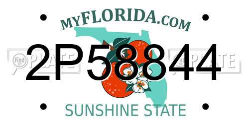 2P58844 Florida License Plate