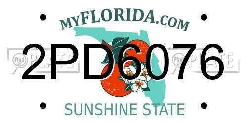 2PD6076 Florida License Plate