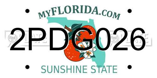 2PDG026 Florida License Plate