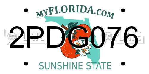 2PDG076 Florida License Plate