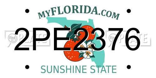 2PE2376 Florida License Plate