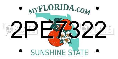 2PE7322 Florida License Plate