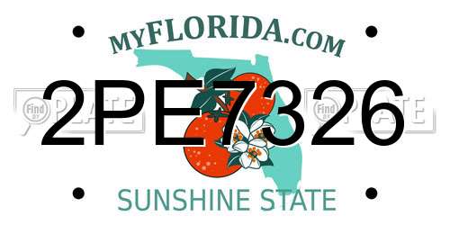 2PE7326 Florida License Plate