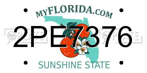 2PE7376 Florida License Plate