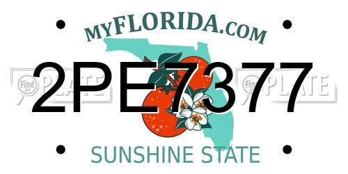 2PE7377 Florida License Plate