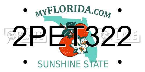 2PET322 Florida License Plate