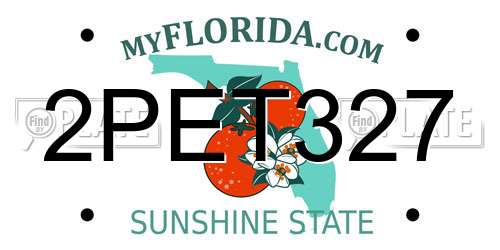 2PET327 Florida License Plate
