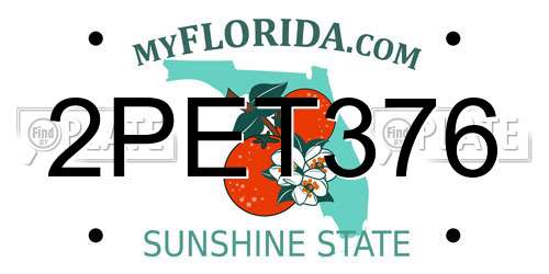 2PET376 Florida License Plate