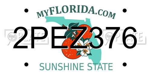 2PEZ376 Florida License Plate